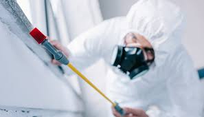 Best Pest Exclusion Services  in Lake Holiday, IL